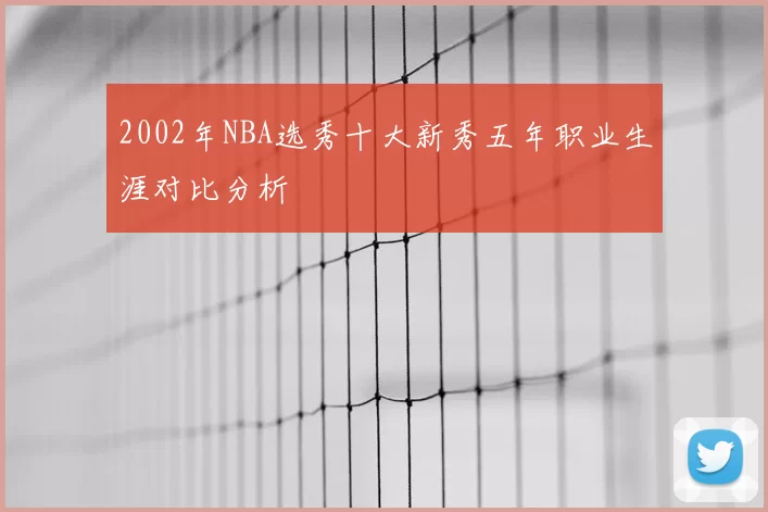 2002年NBA选秀十大新秀五年职业生涯对比分析