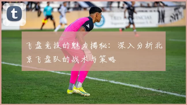 飞盘竞技的魅力揭秘：深入分析北京飞盘队的战术与策略