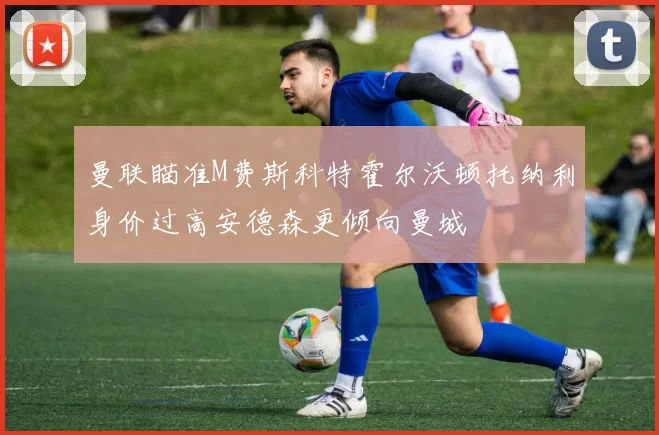 曼联瞄准M费斯科特霍尔沃顿托纳利身价过高安德森更倾向曼城