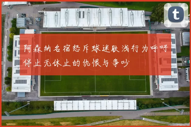 阿森纳名宿怒斥球迷肤浅行为呼吁停止无休止的仇恨与争吵