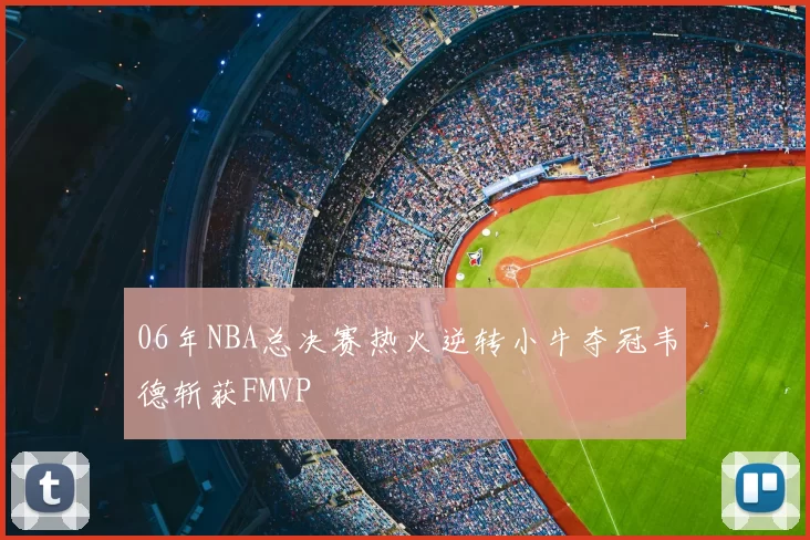 06年NBA总决赛热火逆转小牛夺冠韦德斩获FMVP