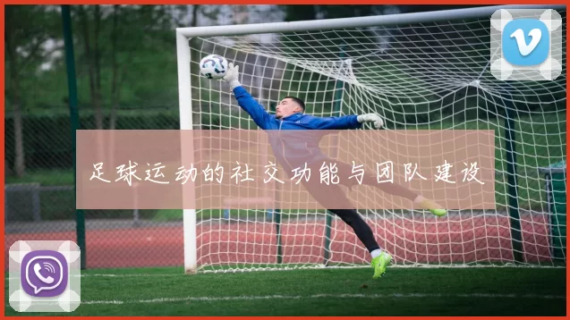 足球运动的社交功能与团队建设