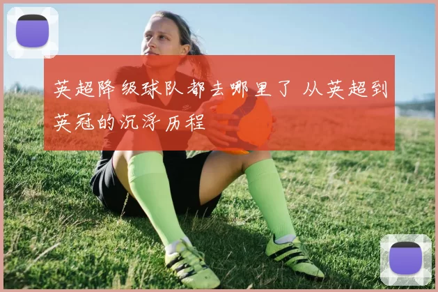 英超降级球队都去哪里了 从英超到英冠的沉浮历程