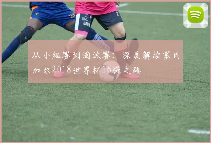 从小组赛到淘汰赛：深度解读塞内加尔2018世界杯16强之路