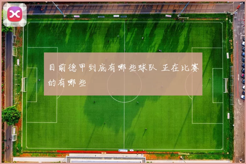 目前德甲到底有哪些球队 正在比赛的有哪些