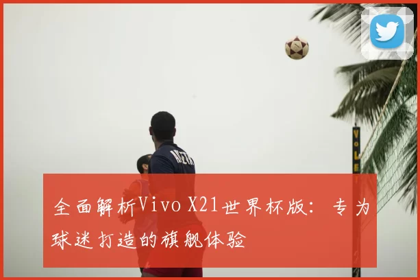 全面解析Vivo X21世界杯版：专为球迷打造的旗舰体验