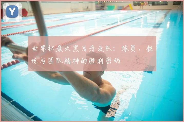 世界杯最大黑马丹麦队：球员、教练与团队精神的胜利密码