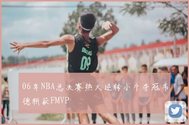 06年NBA总决赛热火逆转小牛夺冠韦德斩获FMVP