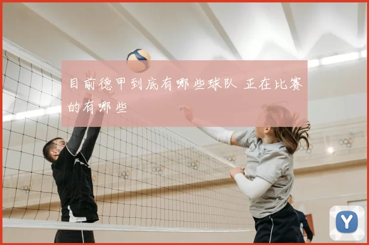 目前德甲到底有哪些球队 正在比赛的有哪些