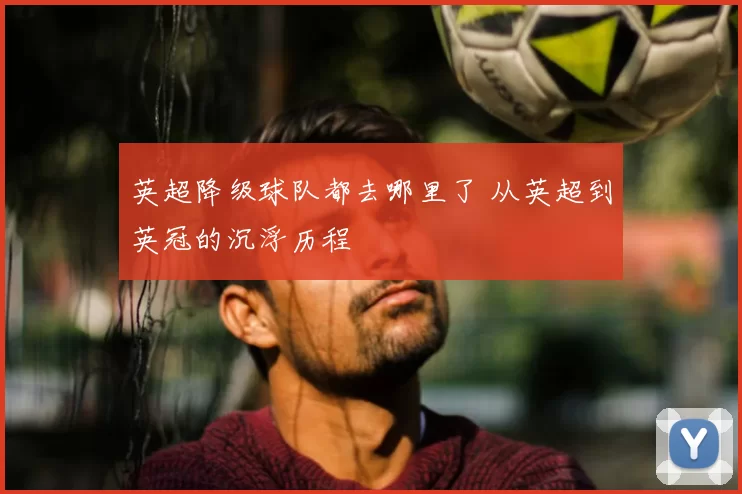 英超降级球队都去哪里了 从英超到英冠的沉浮历程