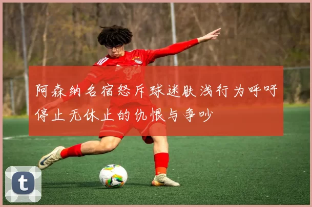 阿森纳名宿怒斥球迷肤浅行为呼吁停止无休止的仇恨与争吵