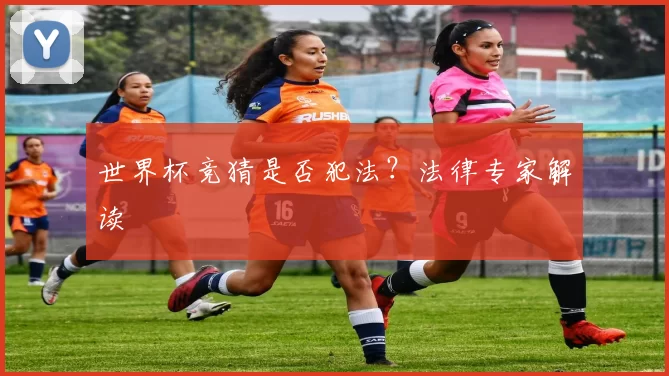 世界杯竞猜是否犯法？法律专家解读