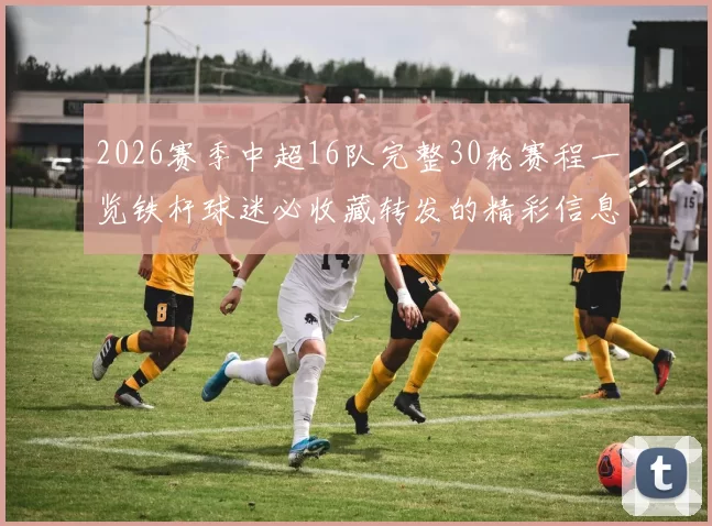 2026赛季中超16队完整30轮赛程一览铁杆球迷必收藏转发的精彩信息