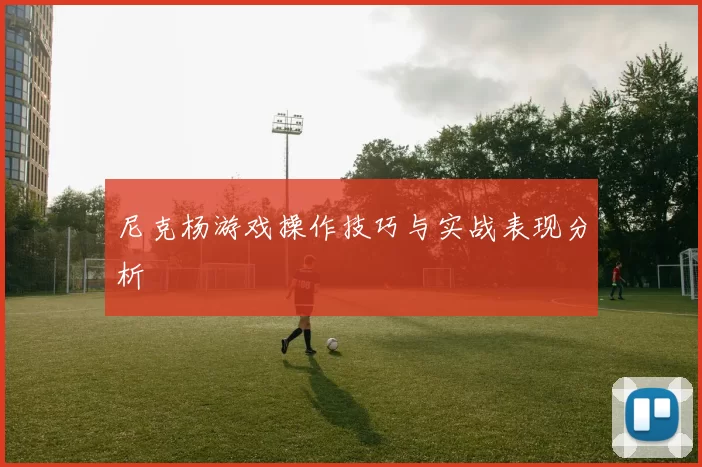 尼克杨游戏操作技巧与实战表现分析