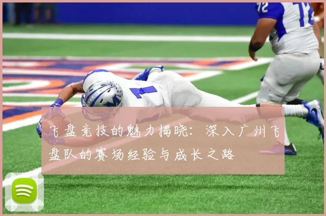 飞盘竞技的魅力揭晓：深入广州飞盘队的赛场经验与成长之路