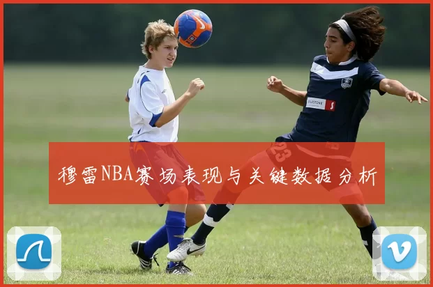 穆雷NBA赛场表现与关键数据分析