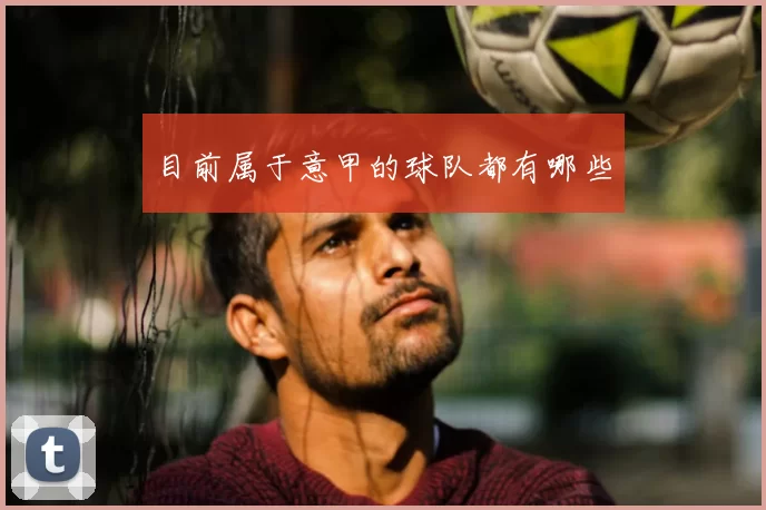 目前属于意甲的球队都有哪些
