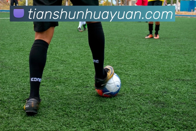 kaiyun平台生态图