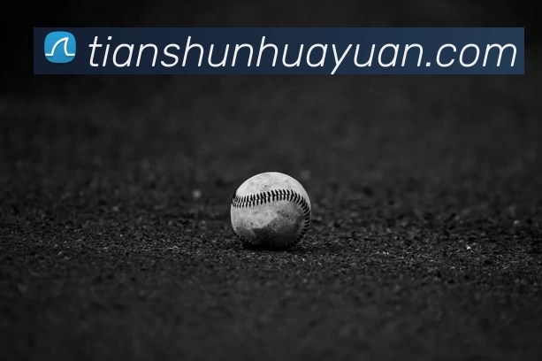 NBA比赛竞猜平台选择指南与体育赛事动态分析