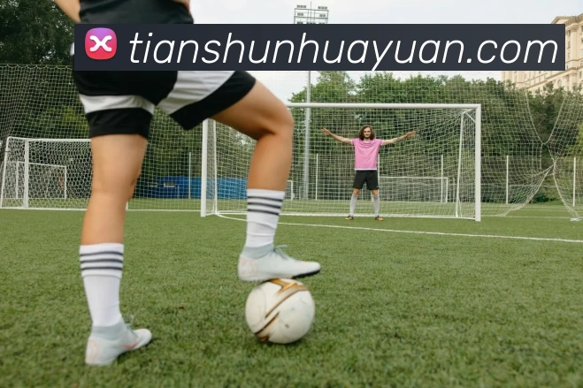 数据防护可视化